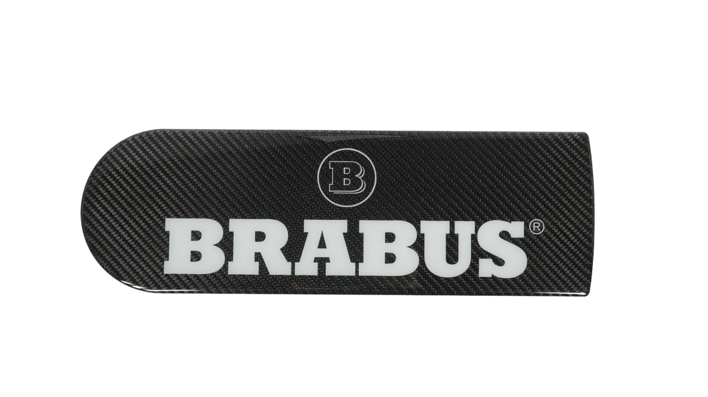 Rear Spare Wheel Carbon Cover plate for Mercedes W463 G Wagon