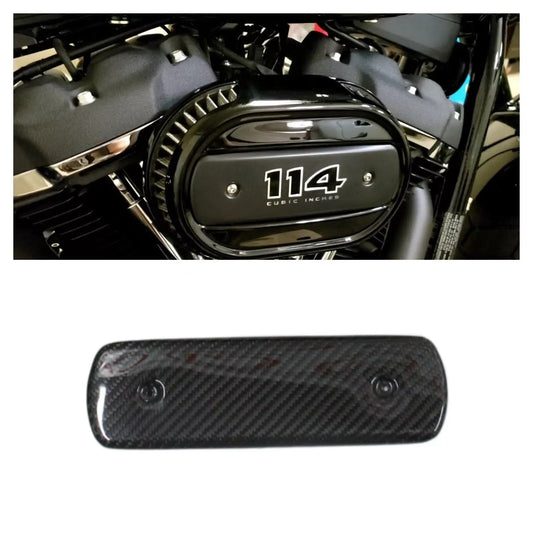 Carbon air intake filter cover insertion for Harley Davidson 2018+ motorcycle.